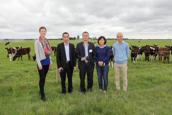 Nutricare thăm trang trại nhà cung cấp Synlait tại New Zealand
