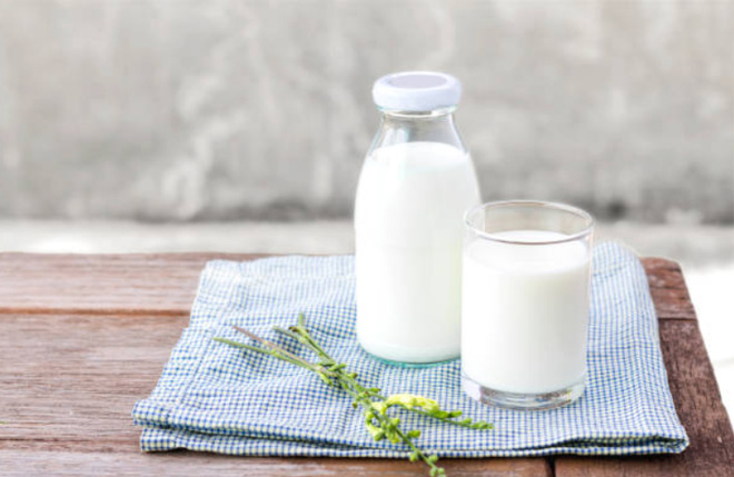 sữa chua tăng cường hệ miễn dịch người già