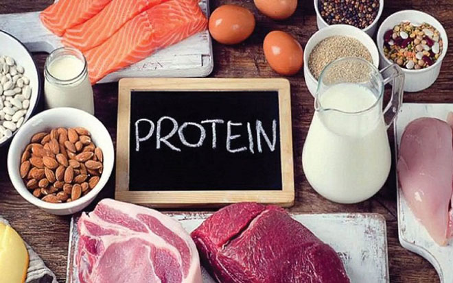 các thực phẩm giàu protein