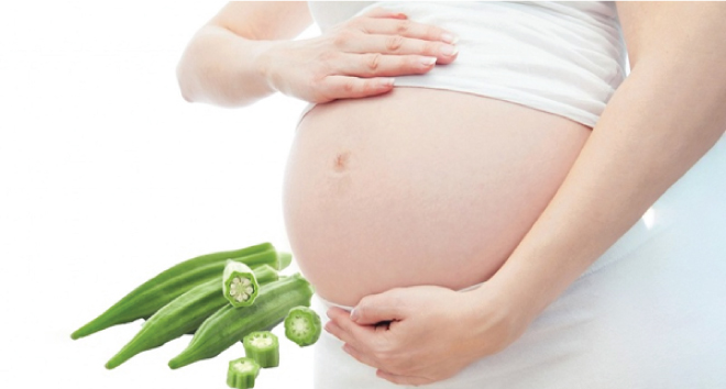 Đậu bắp giúp mẹ bầu bị tiểu đường thai kỳ kiểm soát lượng đường trong máu