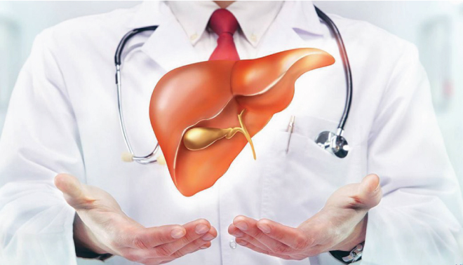 Giải độc của gan hiệu quả