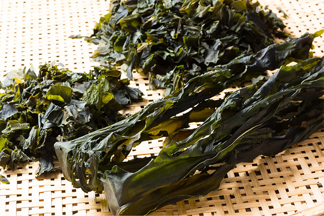 Rong biển chứa chất chống oxy hóa