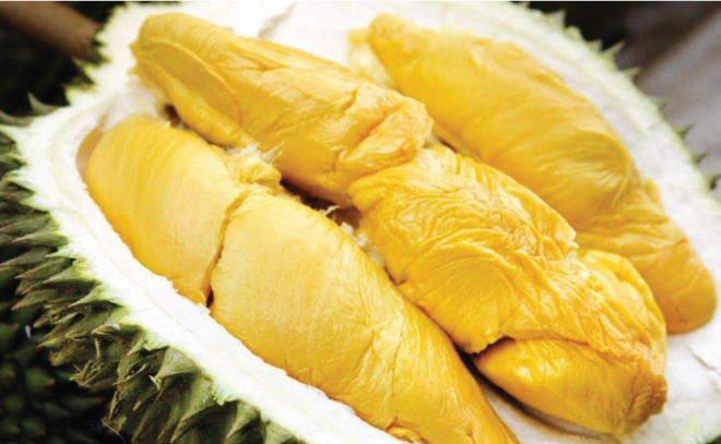 Sầu riêng có lượng đường cao không phù hợp cho người bệnh tiểu đường sử dụng