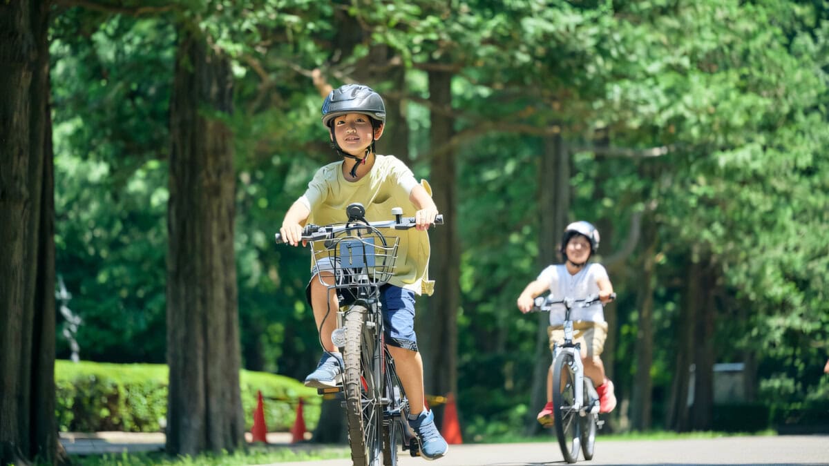 sữa phát triển chiều cao và trí não