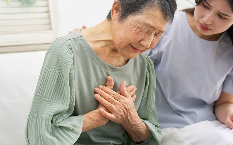 sữa tăng cân cho người già