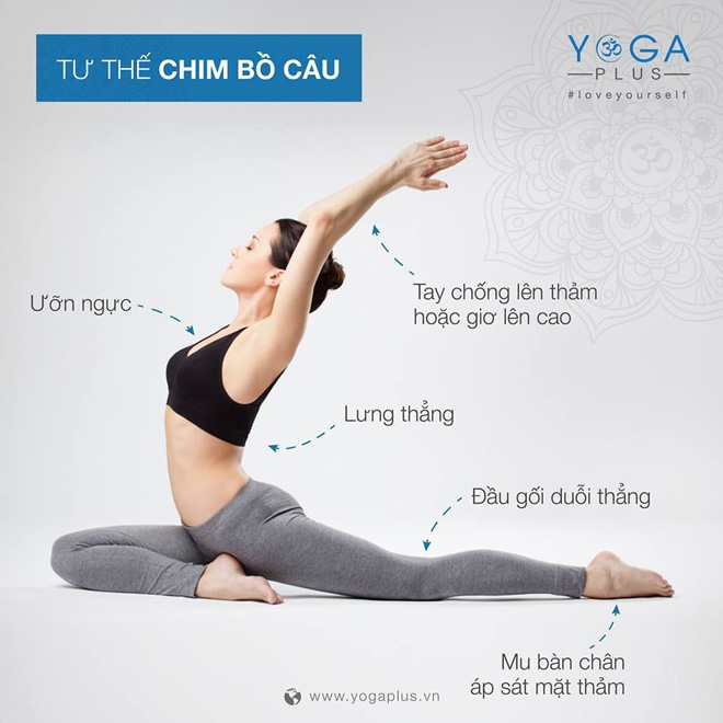 tư thế chim bồ câu tốt cho người bị loãng xương