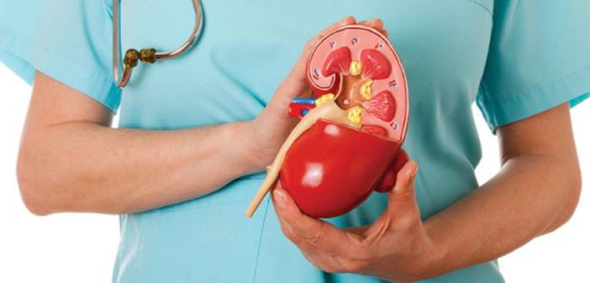 Tìm hiểu dấu hiệu và diễn tiến của tiểu đường biến chứng qua thận