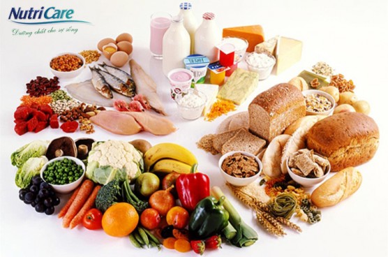104-556x368-1 Bệnh Nhân Ung Thư Và Nỗi Lo Suy Dinh Dưỡng