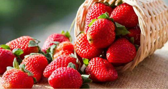 14 Đừng Quên Những Loại Quả Này Trong Chế Độ Ăn Mùa Đông Này