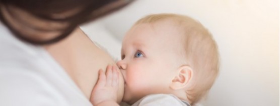 22-4-556x212-1 Thực phẩm giúp bé thông minh hơn.