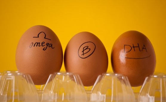 23-2-556x343-1 Thực phẩm giúp bé thông minh hơn.