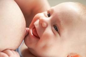 31 Những Món Ăn Lợi Sữa