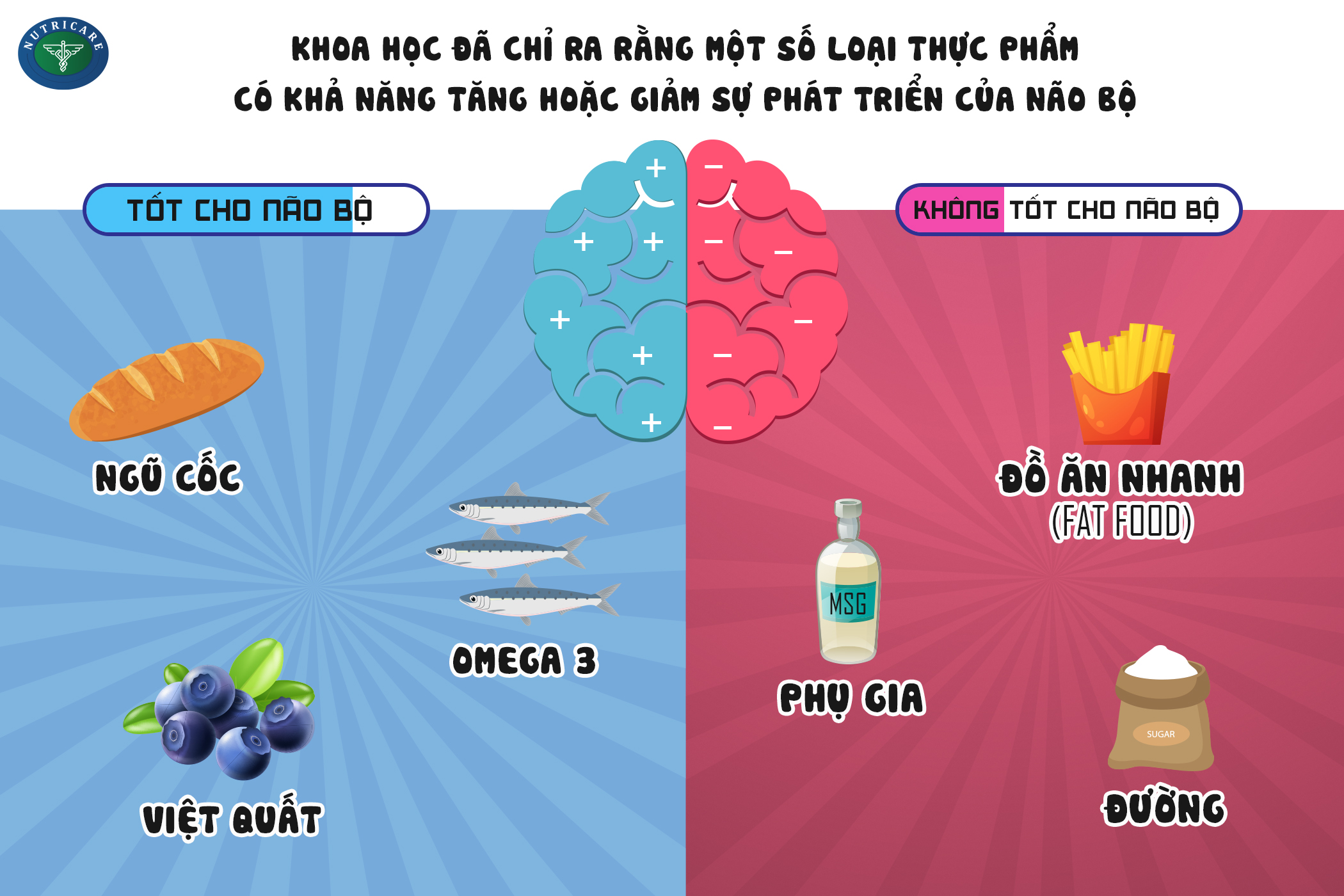 44715682685f8c01d54e width=