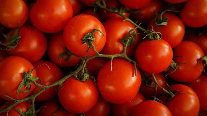 ca-chua Cà chua chứa lycopene giúp giảm thiểu di chứng sau đột quỵ ở người bệnh