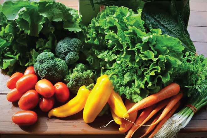 Các loại rau củ