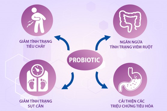 e1baa3nh-3-556x371-1 width=