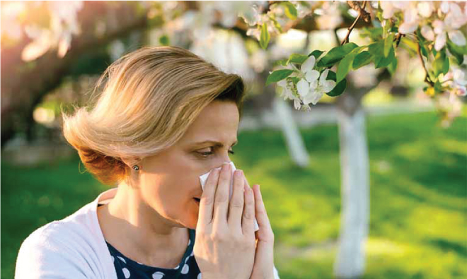 nguoi-cao-tuoi-di-ung-phan-hoa Người cao tuổi dị ứng phấn hoa