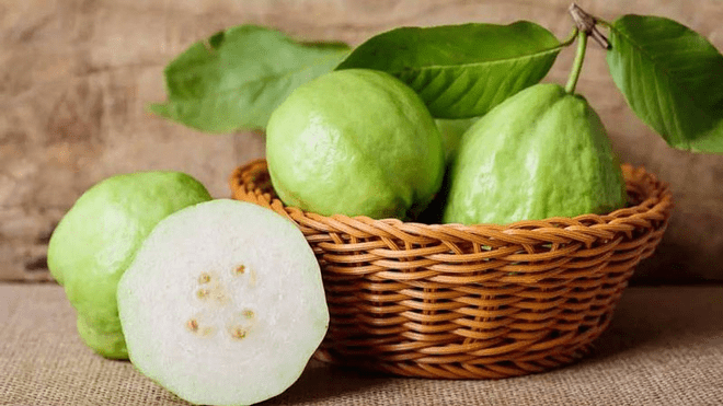 oi-chua-nhieu-vitamin-c Ổi là loại quả chứa hàm lượng Vitamin C cao
