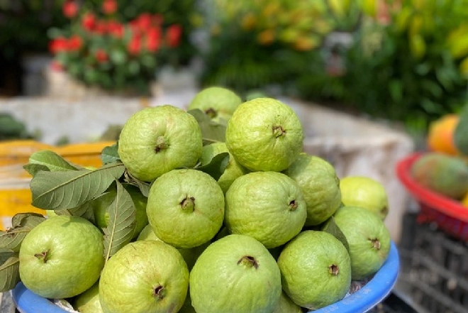 oi-co-tac-dung-giam-nguy-co-tai-dot-quy Ổi có tác dụng giảm nguy cơ tái đột quỵ nhờ hàm lượng Vitamin C dồi dào
