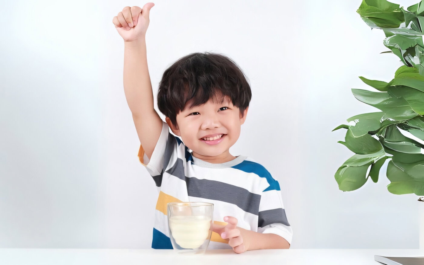 sữa non tăng cân