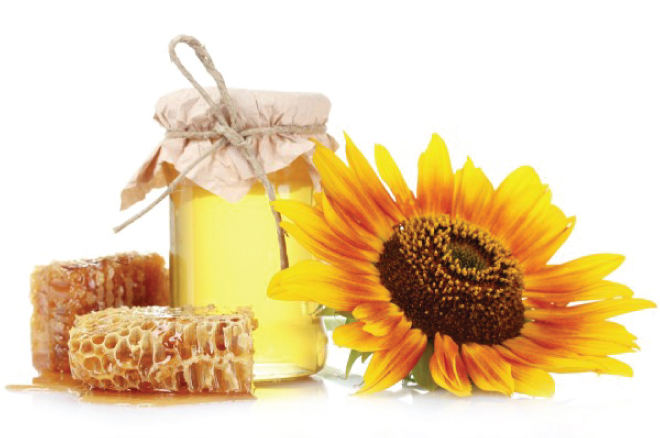 sua-ong-chua-1 Sữa ong chúa tốt cho người già, người cao tuổi