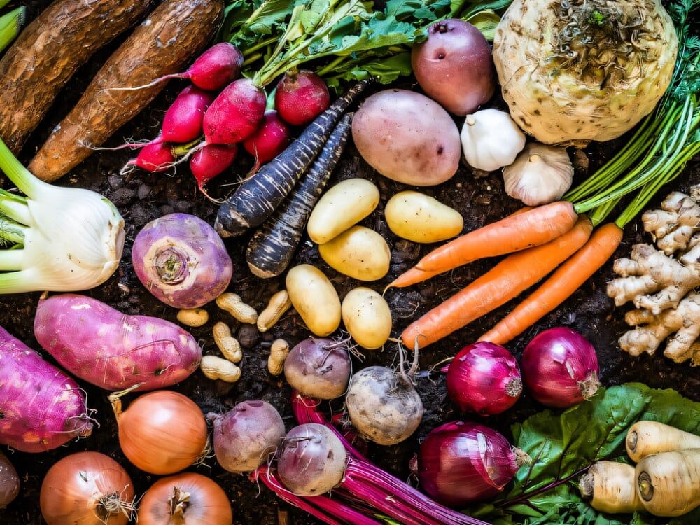 thực phẩm giàu chất xơ