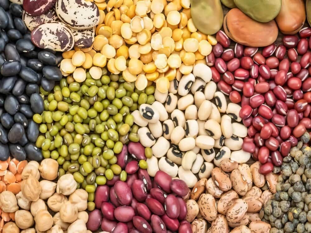 bổ sung canxi cho người lớn