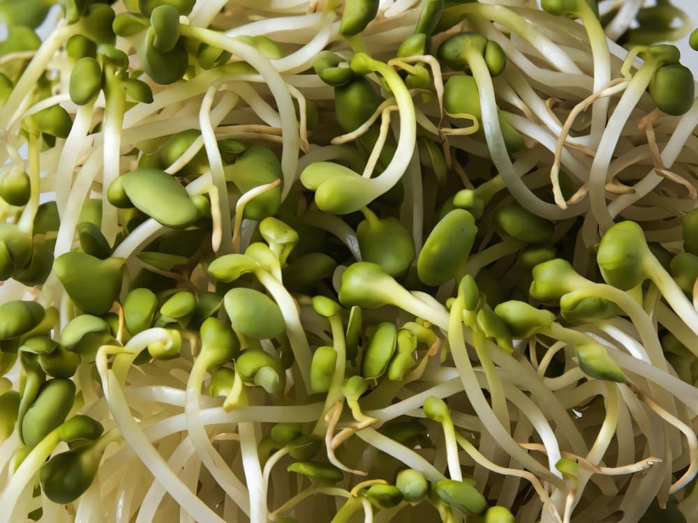 có thai không nên ăn gì