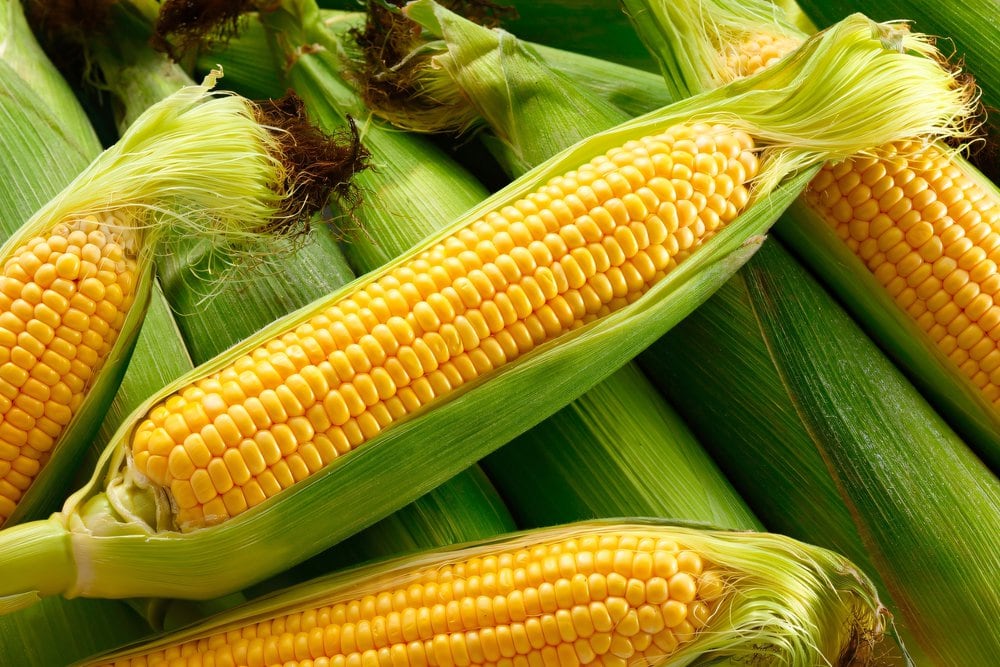 Các loại rau củ quả tốt cho người tiểu đường