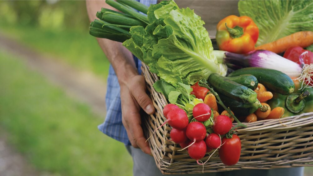 cháo tăng cân cho bé 8 tháng tuổi