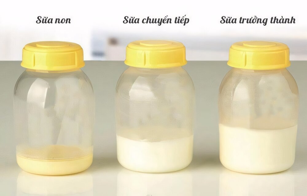 Sữa non có tác dụng gì