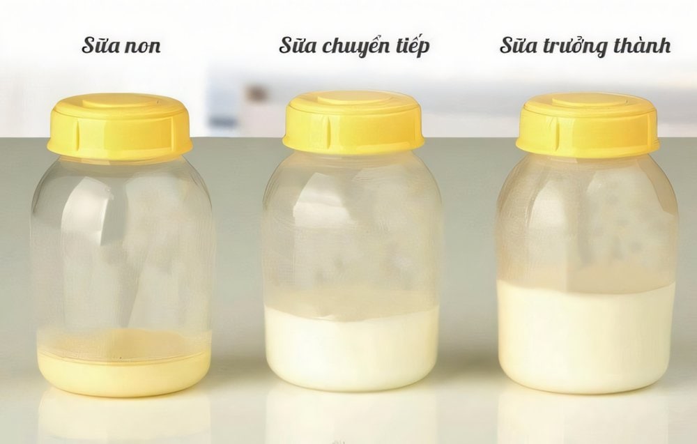 công dụng sữa non