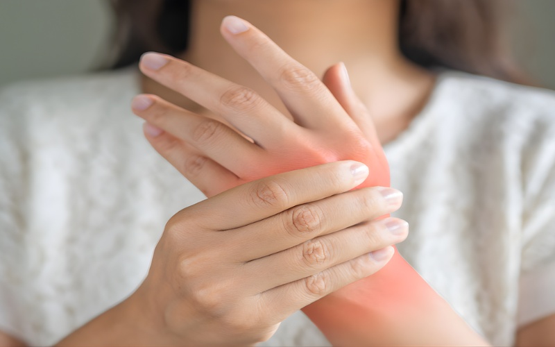 cây mật gấu chữa xương khớp