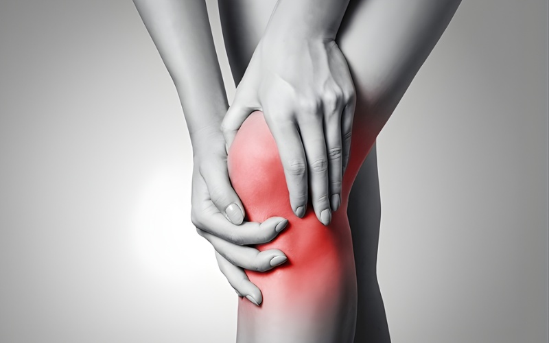 cây mật gấu chữa xương khớp