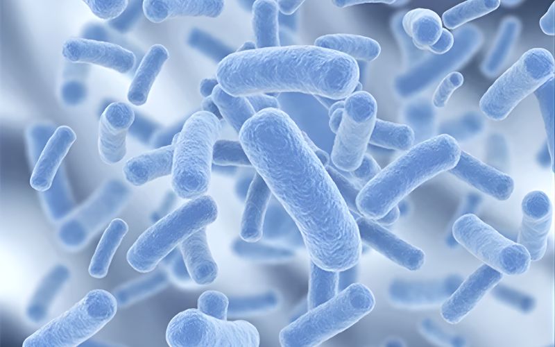 lợi khuẩn là gì