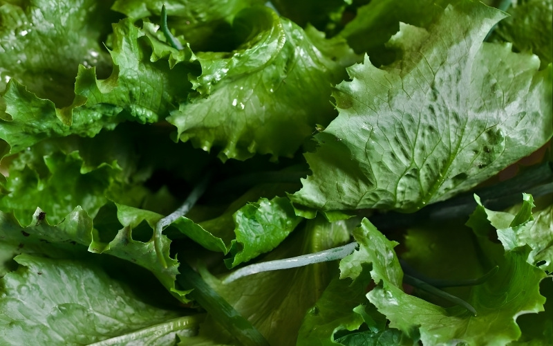 thực phẩm bổ sung chất nhờn cho khớp