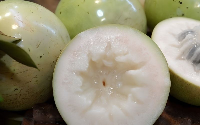 tiểu đường ăn vú sữa được không