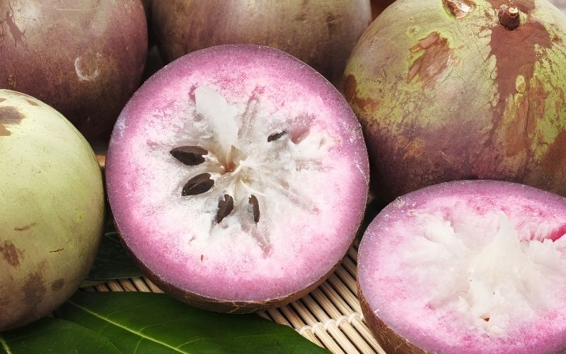 tiểu đường ăn vú sữa được không